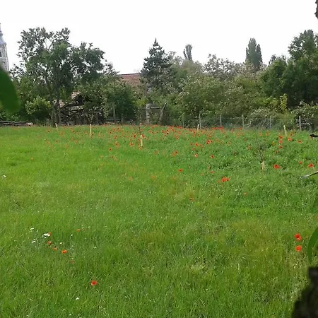 Gyuemoelcsoeskert Vendeghaz * Zánka